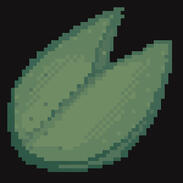 Кувшинка | Lily Pad