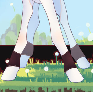 Накопытники | Hoof shoes